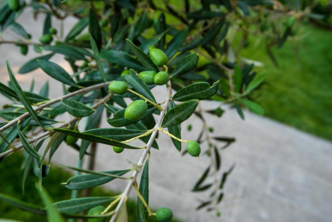 Olive 101 Apartment Peraia  ภายนอก รูปภาพ